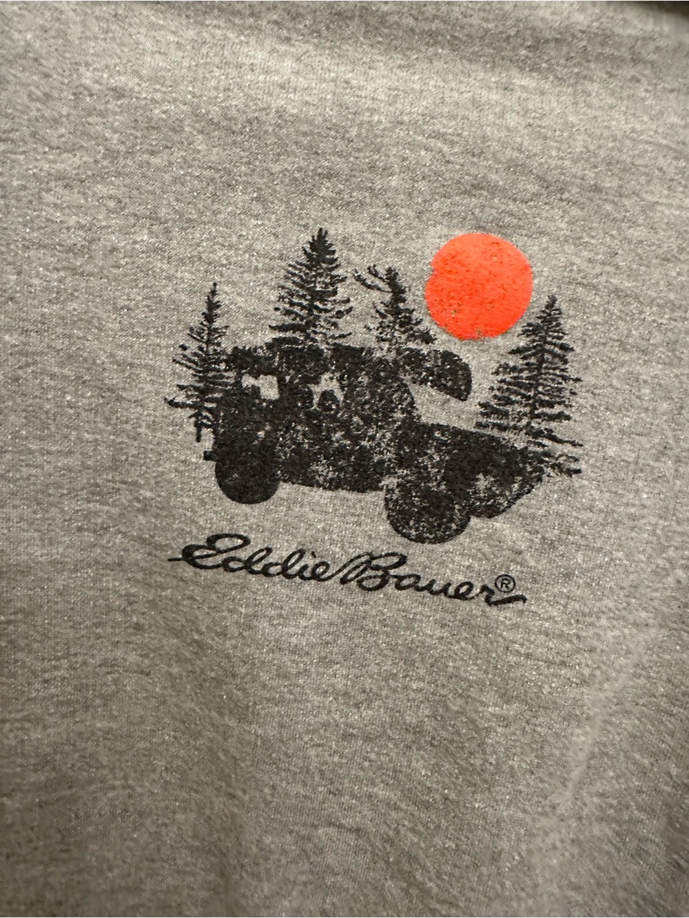Eddie Bauer Men’s Large Gray Graphic Hoodie Jeep Canoe Camping Pullover - Picture 2 of 5